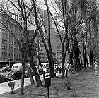 Picture for song 'Sunrise Malaga' by artist 'NuK TB'