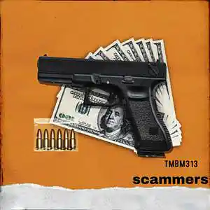 Picture for song 'Scammers' by artist 'TMBM313'