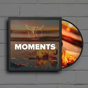 Picture for song 'Moments' by artist 'Whvle Sound'