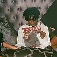 Picture for song 'why lie playboi carti type' by artist 'CHEMIST'
