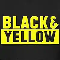 Picture for song 'Wiz Khalifa Black & Yellow(DHPB Remix)' by artist 'DH Pro Beats'