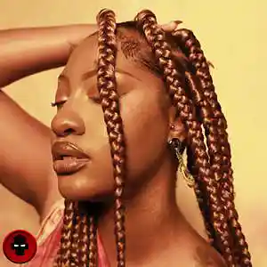 Picture for song 'HANG (AFROSWING) TEMS X DRAKE X WIZKID TYPE BEAT' by artist 'Forbidden Riddimz'