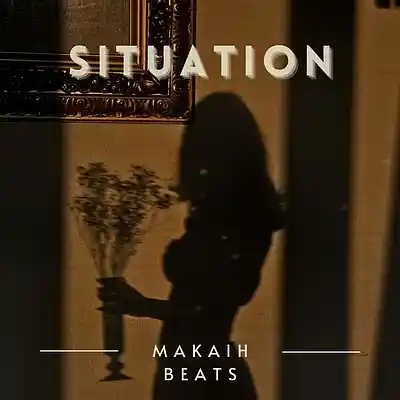 Picture for song 'Situation (sold)' by artist 'Makaih Beats'