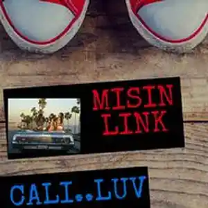 Picture for song 'Cali Love' by artist 'Misin link'