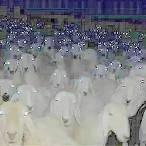 Picture for song 'Osquinn x DOLLY Type Beat - NIGHTLIGHT' by artist 'Jayzen'