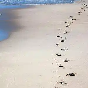 Picture for song 'Follow Your Feelings (feat. Aira Winterland)' by artist 'Round The Globe'