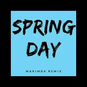 Picture for song 'Sonnerie Gratuite Spring Day BTS (Marimba Remix)' by artist 'SonneriePortable'