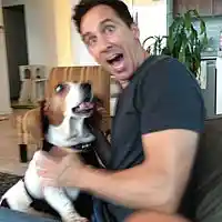 Picture for song '01 A Call To Arms' by artist 'Test VIP Account'