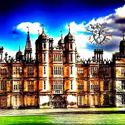 Picture for song 'Country House' by artist 'The Leftover'