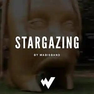 Picture for song 'Stargazing' by artist 'Wabisband'