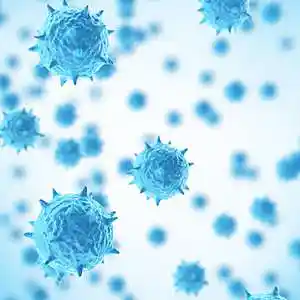 Picture for song 'Virus' by artist 'Wyatt Plays'