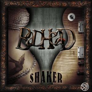 Picture for song 'BadHead - Blood and Bones' by artist 'BadHead'