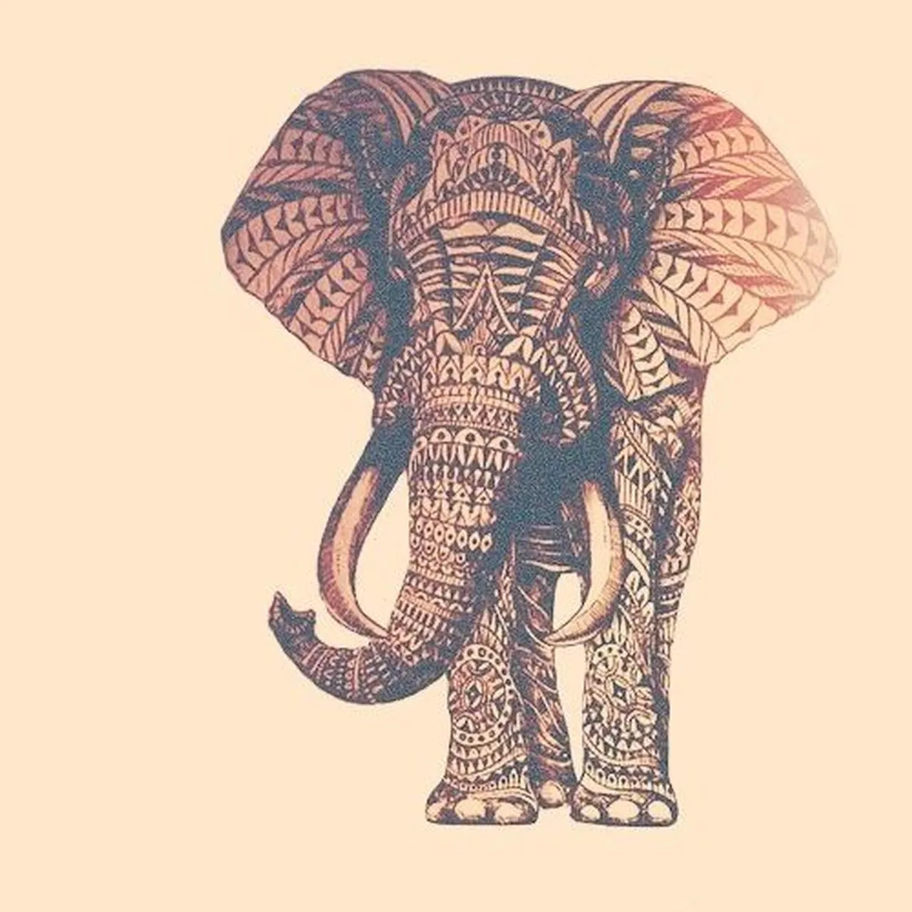 Символ слона значение. Индийский слон. Индийский слон орнамент. Слон символ. Слон с узорами.