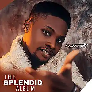 Picture for song 'We all need Somebody' by artist 'Aywonda'