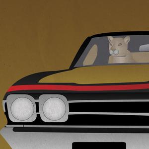 Picture for song 'Shake & Bake' by artist 'Black Chalk'