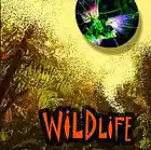 Picture for song 'Wildlife' by artist 'BOOMbotBeats'