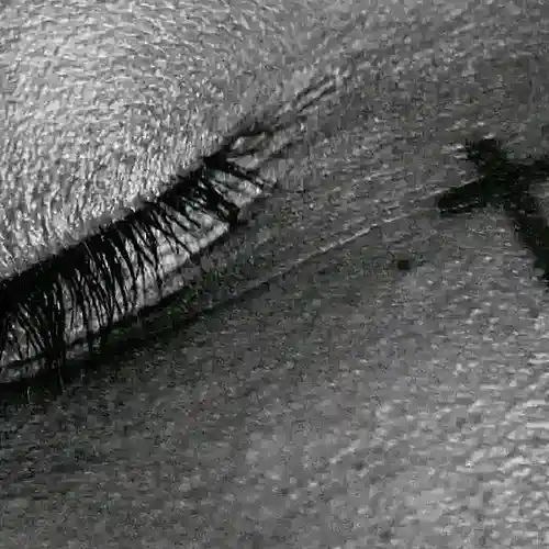 cover pic
