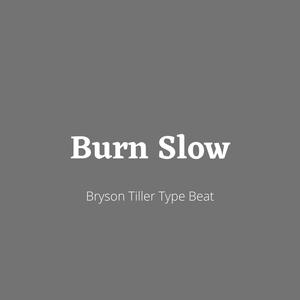 Picture for song '"Burn Slow" - Bryson Tiller Type Beat' by artist 'DJ Mauri B'