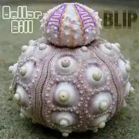 Picture for song 'Sea of Keys' by artist 'Dollar Bill and the Unmentionables'