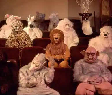 Picture for song 'zoo' by artist 'drama collection'