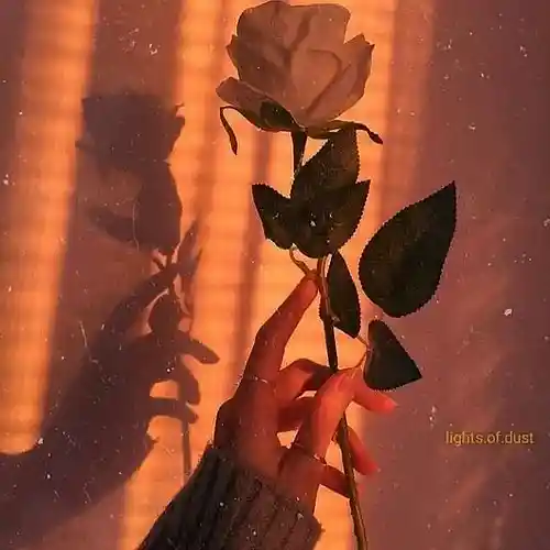 Picture for song 'Emiz_Pains m&m by angeljerry' by artist 'EMIZ'