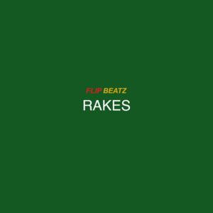 Picture for song 'Rakes' by artist 'Flip Beatz 101'