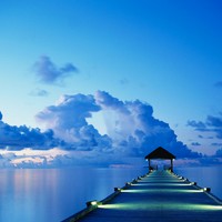 Picture for song 'My S055 001' by artist 'Gennady Udod'