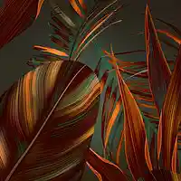 Picture for song 'Broken violin' by artist 'Greg Evans da Producer'