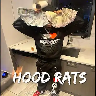 Picture for song 'Big30 Type Beat - Hood Rat Free Memphis Type Beat' by artist 'Hashtag6eatZ033'