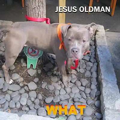 Picture for song 'I CAN SEE FOR MILES (2024)' by artist 'JESUS OLDMAN'