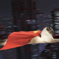 Picture for song 'Heavy/Thrash Riff/Song' by artist 'JollyJ'