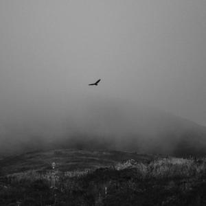 Picture for song 'Into the Mist - demo with Doug Haberman' by artist 'Justin Osowiecki'