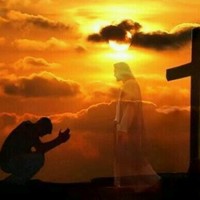 Picture for song 'Trust In Him (Instrumental)' by artist 'My Shepherd King'