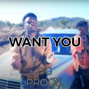 Picture for song 'AFRO - Want You' by artist 'ProdByDGProductions'