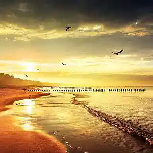 Picture for song 'Separation' by artist 'SKVRLET OCEVN'