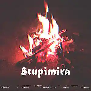 Picture for song 'Burn In Fire' by artist 'Stupimira'