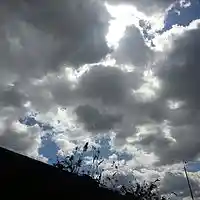 Picture for song 'The Englander' by artist 'swerve tweeter'