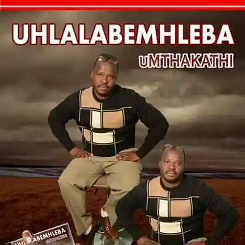 Picture for song 'Lisejele' by artist 'Uhlalabemhleba'