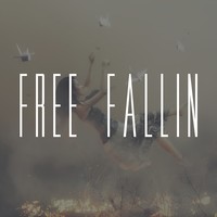 Picture for song 'Free Fallin (SOLD)' by artist 'Woodtunez Beats'