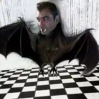 Picture for song '13 Bat Grooving Cloud Bursting' by artist 'XL ACID 3D'