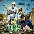 Picture for song 'Chris Brown Ft Ty dolla sign Type.. ...Face down!' by artist 'Yungshadondabeat'