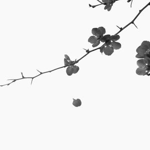 Picture for song 'HOTLINE Hard rap trap Beat thasup x bbnos' by artist 'Zalfprod'