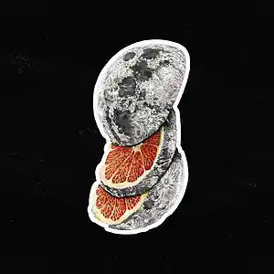 Picture for song 'Luna' by artist 'AndreOnBeat'