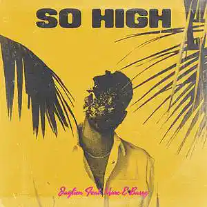 Picture for song 'SO HIGH' by artist 'Anywaywell'