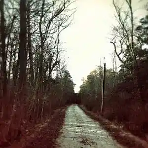 Song picture
