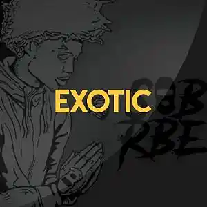 Picture for song 'Exotic' by artist 'iDBeatz Productions'