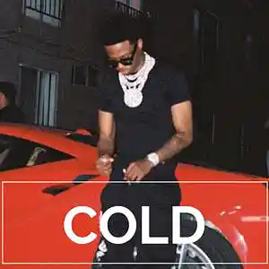 Picture for song 'COLD / Roddy Ricch x Gunna Type Beat' by artist 'Le Mak Music'