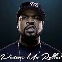 Picture for song 'Picture Me Rollin' *FREE/DL*' by artist 'MaxSky'