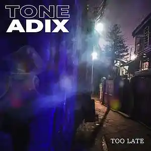 Picture for song 'Too Late' by artist 'Tone Adix'
