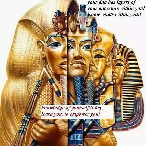 Picture for song 'Ginsu Handler-CasualTee(weatherman beatz mix)' by artist 'CasualTee hooded T'